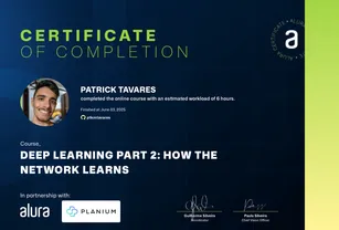 Deep Learning - How The Network Learns preview